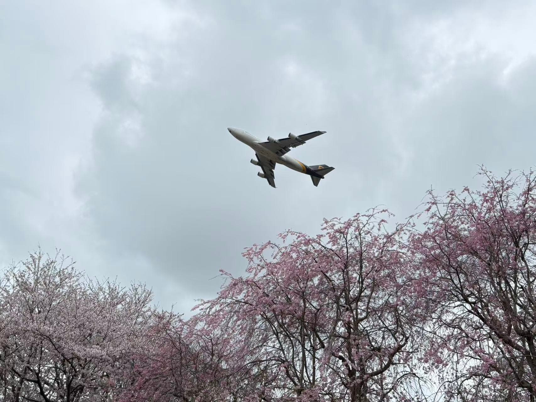 Narita Airport vs Haneda Airport