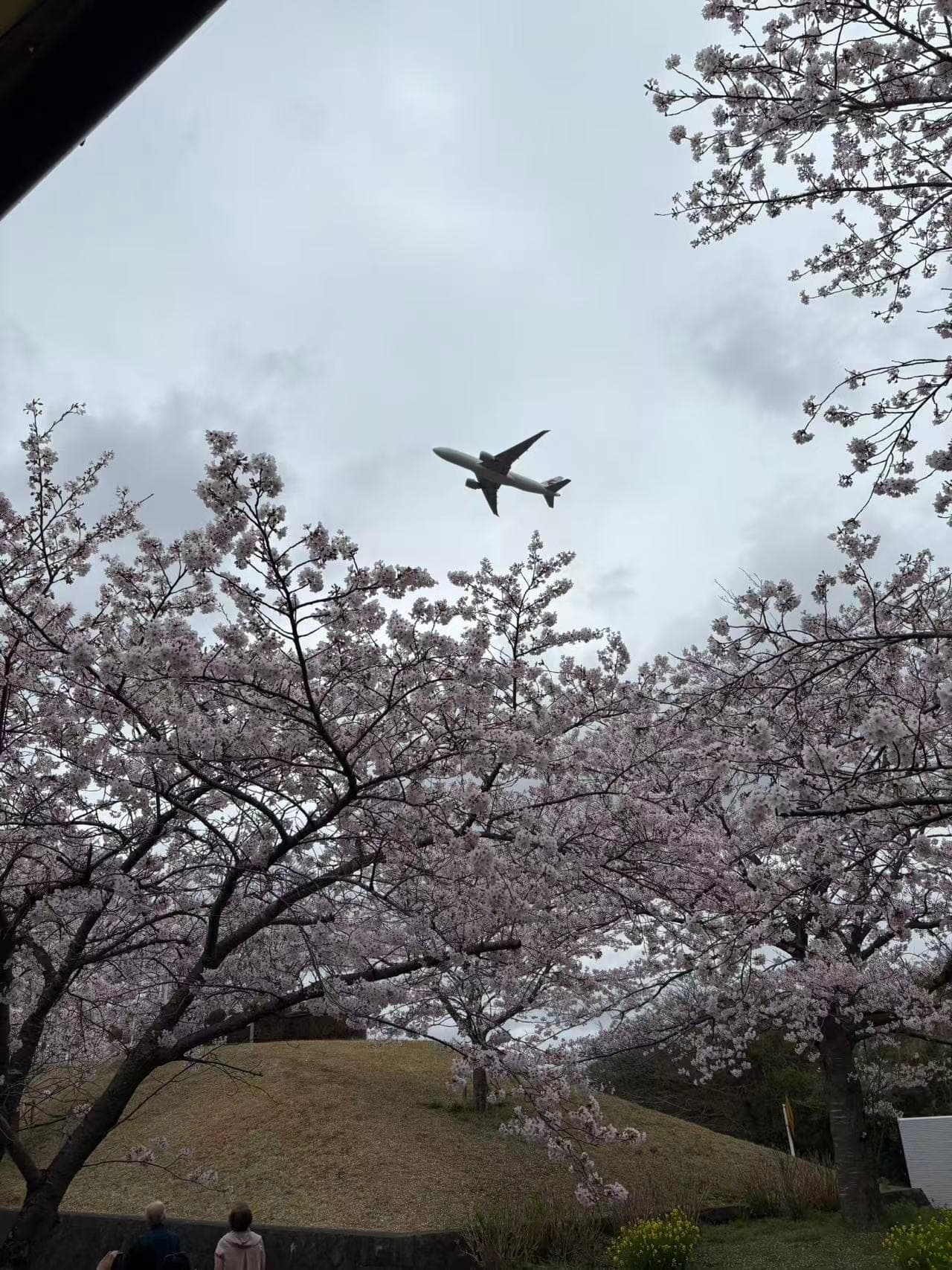 Recogida en Aeropuerto de Tokio