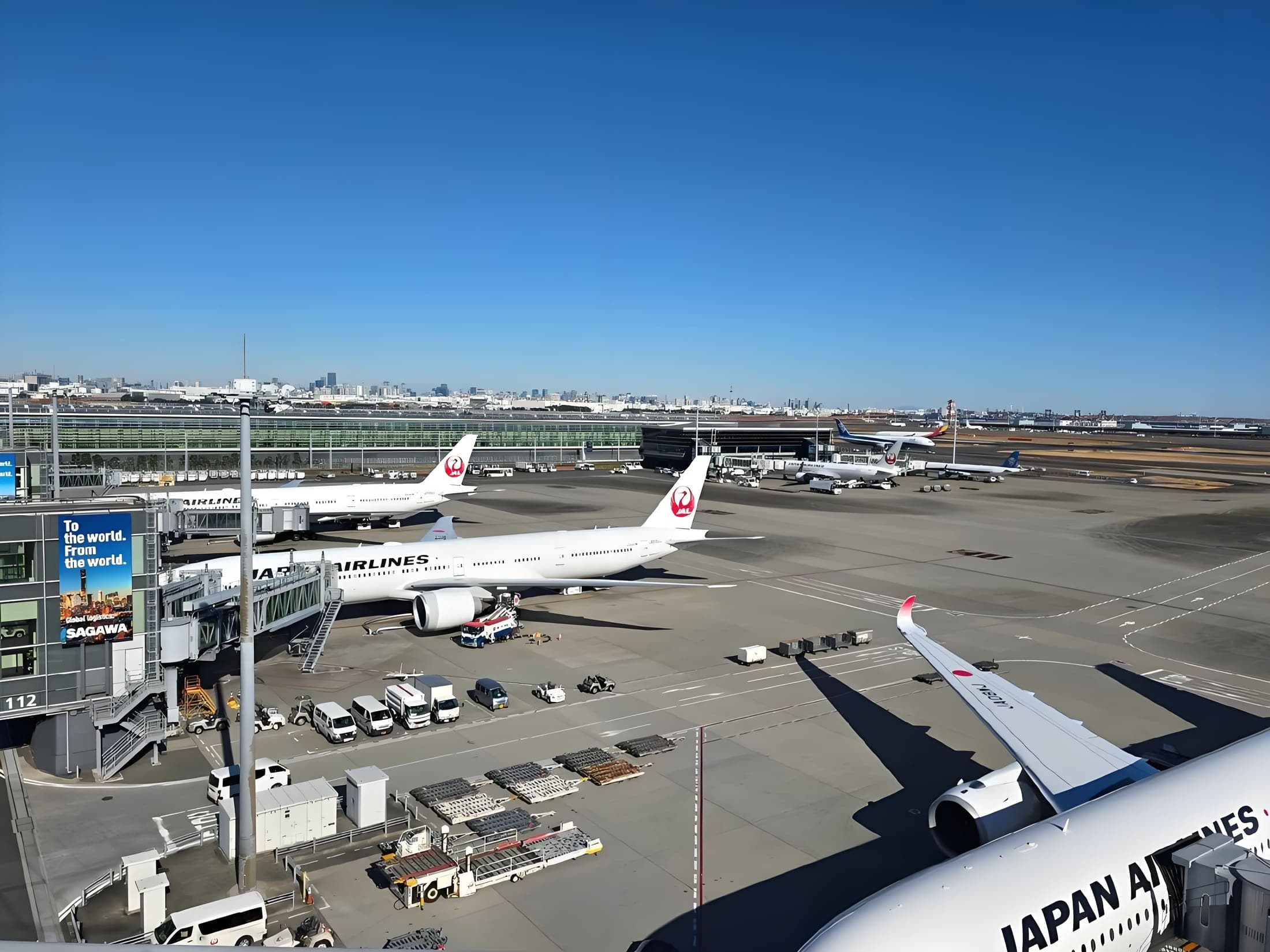 Avión de pasajeros sobre cerezos en Japón