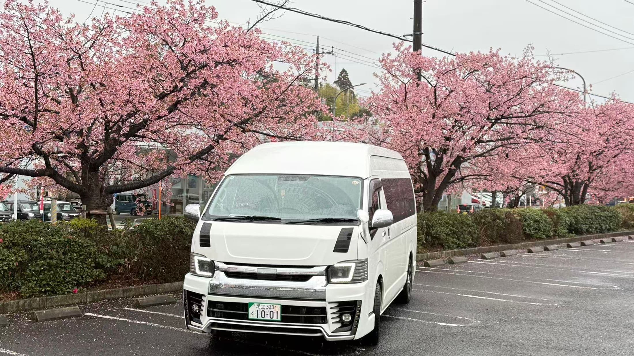 Private Narita Airport to Tokyo Disney Resort transfer