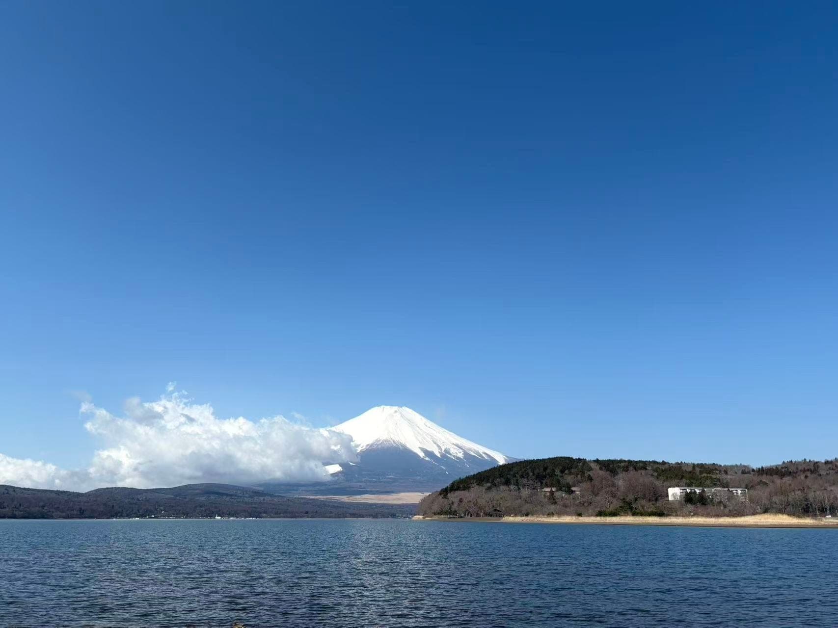 Private hotel transfer from Tokyo to Hakone